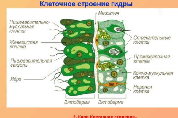 Кракен купить порошок krk market com